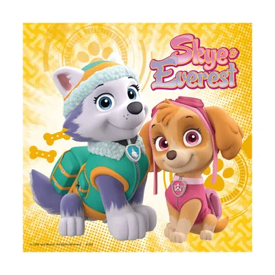 Щенячий патруль: мини-коллекционная фигурка Скай, 5 см, Paw Patrol  (SM16634-3) купить в Киеве, Игровые фигурки и наборы в каталоге интернет  магазина Платошка