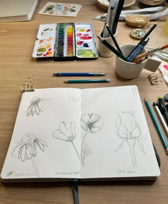 Sketching for Watercolor Painting for Beginners — Nicki Traikos | life i  design |