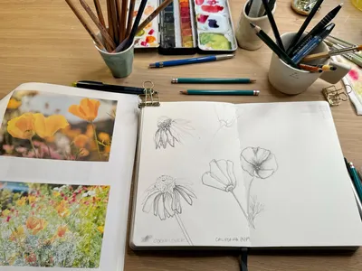 Sketching for Watercolor Painting for Beginners — Nicki Traikos | life i  design |