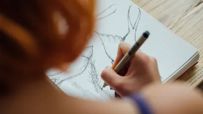 The Importance Of Sketching