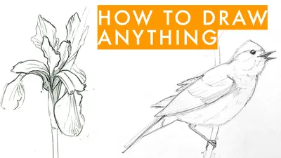 How to draw anything - learn sketching for beginners | Julia Bausenhardt