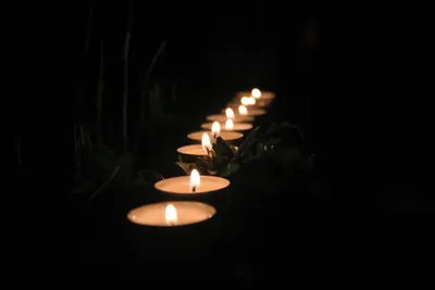 Около 300 тысяч свечей зажгут в Подмосковье в День памяти и скорби - В  регионе - РИАМО в Реутове