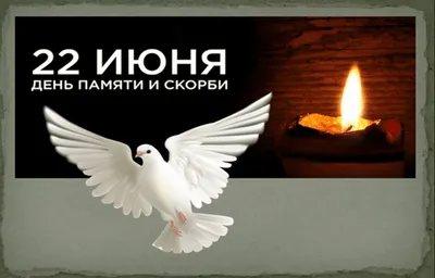 22 июня – День памяти и скорби : Новости Гатчинского района