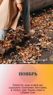 🍁Ноябрь шепчет | Fall wallpaper, Autumn magic, Autumn photography