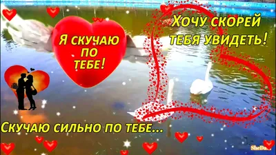 Любимому мужчине#скучаюпотебе #хочуврек #тикток люблю тебя мужчине | TikTok