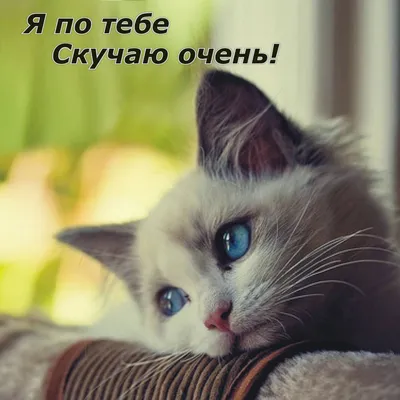 Открытки \"Скучаю по тебе!\" (100+)