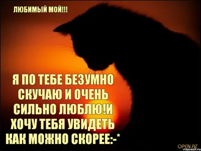 Я очень по тебе скучаю ! — Открытки и поздравления | Открытки, Счастливые  картинки, Веселые картинки