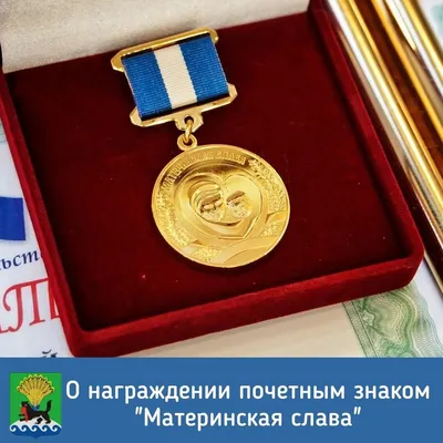 Слава и признание: лучшие мастера на Чемпионате России по коррекции фигуры  — Кристина Казанцева на vc.ru