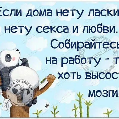 Цитаты со смыслом, тонкий юмор, интересные факты - подписывайтесь 🤝  @homyaki_dzen, понравилась публикация - оцените лайком ❤️ Оставляйте… |  Instagram