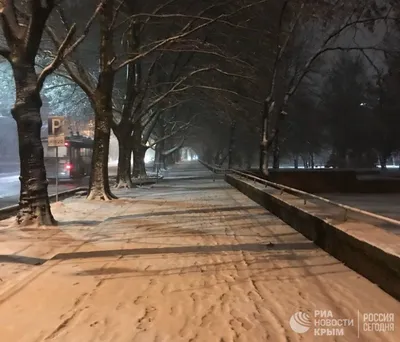 Всем привет. / март :: снегопад :: ночь :: фотография / смешные картинки и  другие приколы: комиксы, гиф анимация, видео, лучший интеллектуальный юмор.