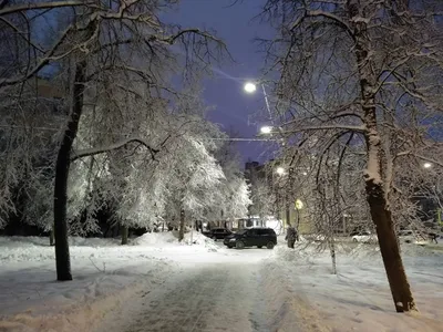 Север Ростовской области засыпало снегом