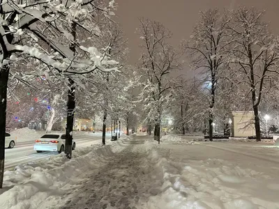 Сильный снег ожидается в Псковской области в ночь на 24 ноября : Псковская  Лента Новостей / ПЛН