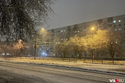 Первый снег. Photographer Aleksandr Kljuchenkow