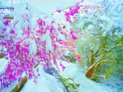 Холодная снежная весна стоковое изображение. изображение насчитывающей  природа - 90754709