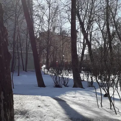 Рязань, снежная весна 2013