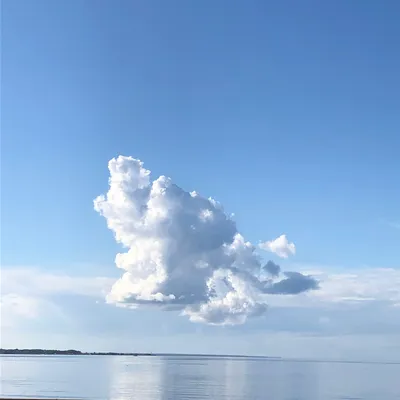 Фразы вступления и вводные слова начать предложение на английском языке