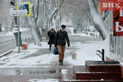 В Ростовской области 35 тыс. жителей остались без света из-за снега — РБК