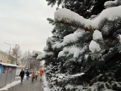 Циклон \"Ваня\" обрушился на Москву рекордным снегом. Снежный фронт  стремительно движется на юг страны ледяным дождем