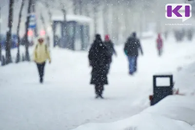 Рождественская елка покрытая снегом волшебно накаляет в этой сцене зимы  Стоковое Изображение - изображение насчитывающей цветасто, бобра: 32699739