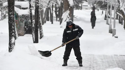 Вильфанд заявил, что в конце недели Москву припорошит снегом