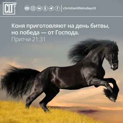 32 Библейские стихи о ободрении - DailyVerses.net