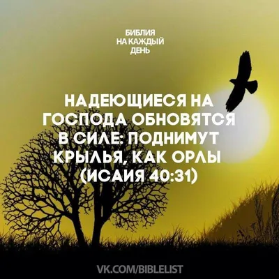 Pin by Veronika Faleeva on Стихи из Библии | Bible verses, Christian  quotes, Christian pictures
