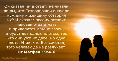 Стихотворение | Пикабу