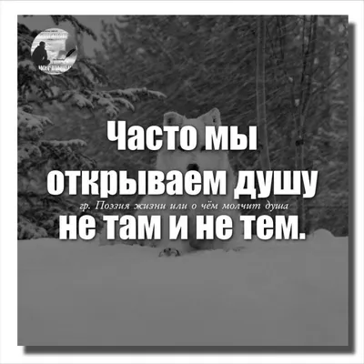 Картинки с надписью у меня душа болит (49 фото) » Юмор, позитив и много  смешных картинок