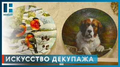 Набор салфеток для декупажа 27 Кошки и собаки — купить в Красноярске.  Декупаж на интернет-аукционе Au.ru