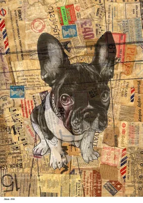 Набор декупажных карт Винтажные собаки, 5 листов, формат А4 | FancyOn