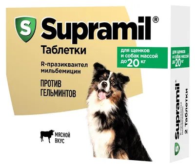 Большие породы собак – топ-15 крупных пород с фото – ProPlan.ru