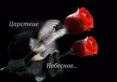 В Госдуме выразили соболезнования из-за смерти Добронравова - РИА Новости,  17.09.2023