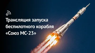 Союз мира и социализма