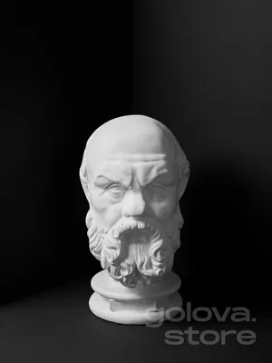 Картина Сократ #2040 | Арт галерея GMOT