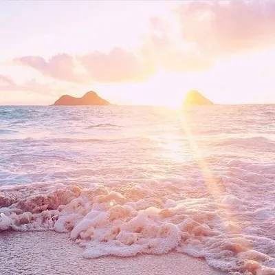 Солнце, море, пальмы, пляж — Фото №165017