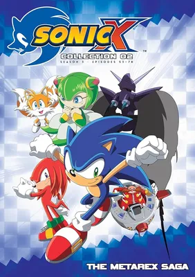 24 Facts About Sonic The Hedgehog (Sonic X) - Facts.net