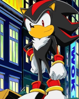 Hedgehog Lovers (Sonic X Shadow) SFW Very Cute Trust Me\" Poster for Sale by  NarwhalsINVADE | Redbubble