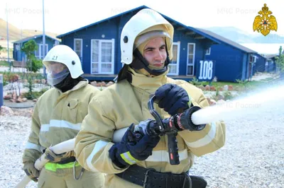 Скулила и звала на помощь»: спасатели МЧС достали мопса из канализационного  люка в Ленобласти - KP.RU