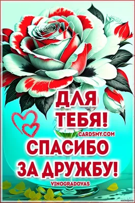 Спасибо за Дружбу! | Открытки - Поздравления, Пожелания, Позитивные Настрои