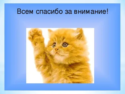 4 примера сопроводительных писем, которые сработают — Work.ua