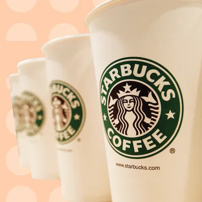 What Is The Starbucks Coffee Traveler- Everything You Need to Know |  Lifeboost Coffee