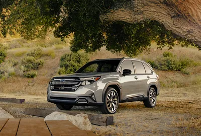 2019 Subaru Forester Improves Upon a Good Thing - Consumer Reports