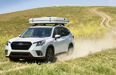 2025 Subaru Forester redesign: Familiar styling, new infotainment |  Automotive News