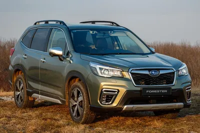 The 2023 Subaru Forester Brings Excitement to the Road and Trails –  Williams Subaru Blog