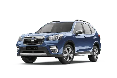 2025 Subaru Forester Debuts With Updated Looks, More Tech, Stiffer Chassis  - autoevolution