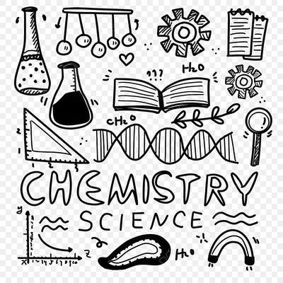 рисунок Образование наука химия связанные черно белые рисунки PNG , рисунок  кошки, научный рисунок, черно белый рисунок PNG картинки и пнг PSD рисунок  для бесплатной загрузки