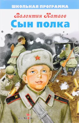 Сын полка. Судьба героя Вани Солнцева на самом деле. | Родная околица | Дзен