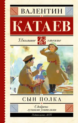 Книга Сын полка Рассказы о войне иллюстрации В Канивца купить по цене 2090  ₸ в интернет-магазине Детский мир