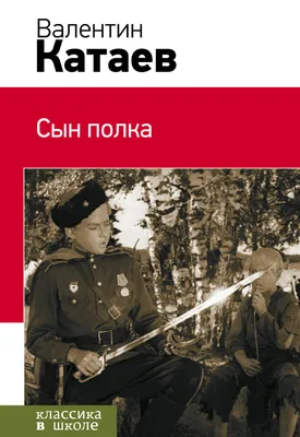 Сын полка, Валентин Петрович Катаев купить по низким ценам в  интернет-магазине Uzum (614436)