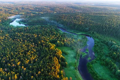 Дикий край: путешествие в сердце северной тайги | Фотогалереи | Известия